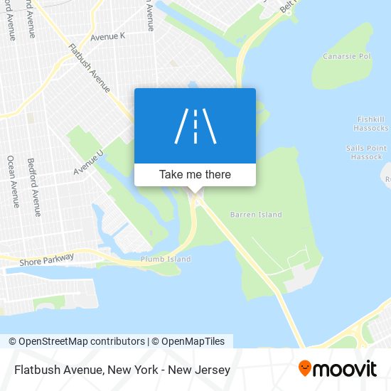 Flatbush Avenue map