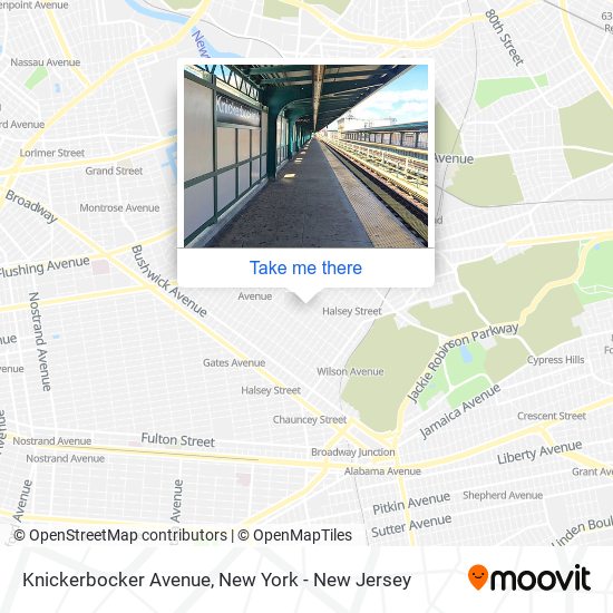 Knickerbocker Avenue map