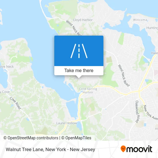 Walnut Tree Lane map