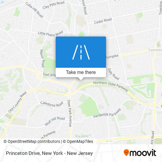 Princeton Drive map