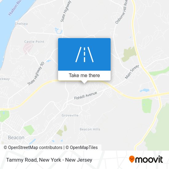 Tammy Road map