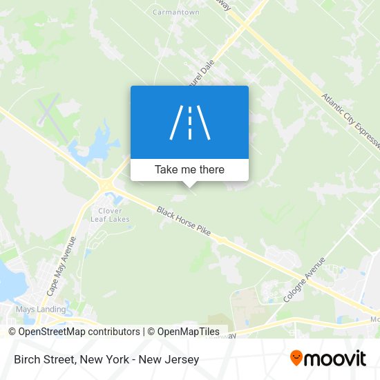 Mapa de Birch Street