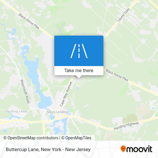 Mapa de Buttercup Lane