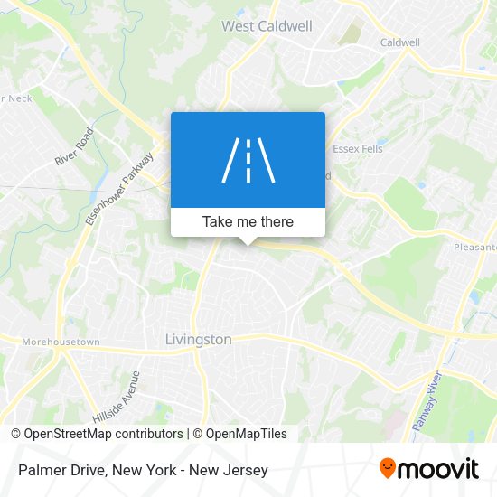Mapa de Palmer Drive