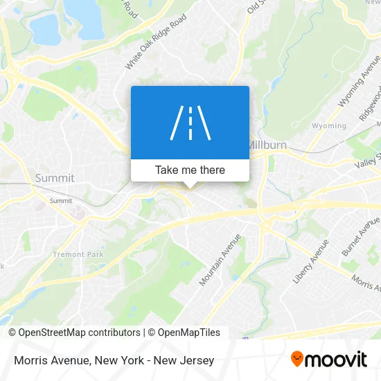 Morris Avenue map