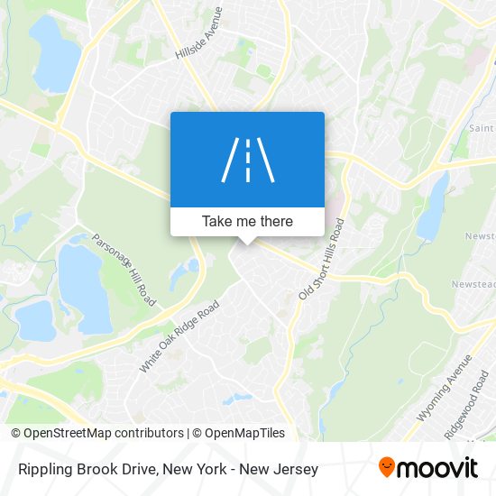 Mapa de Rippling Brook Drive
