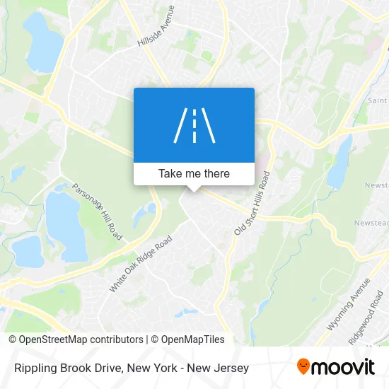Rippling Brook Drive map