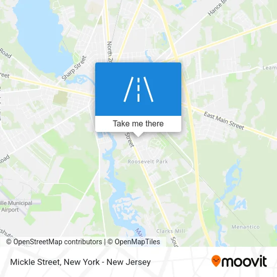 Mickle Street map