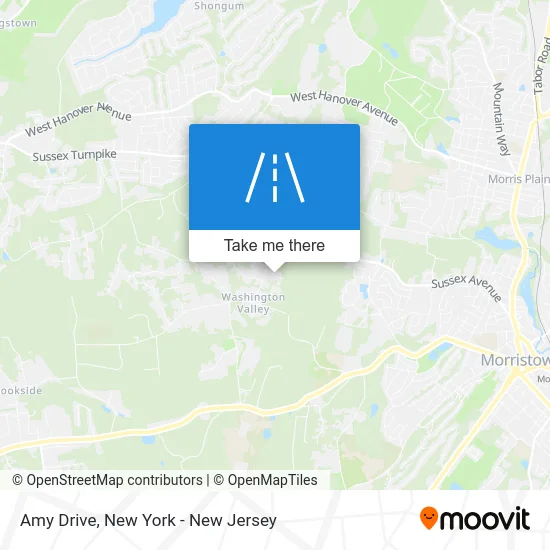 Amy Drive map