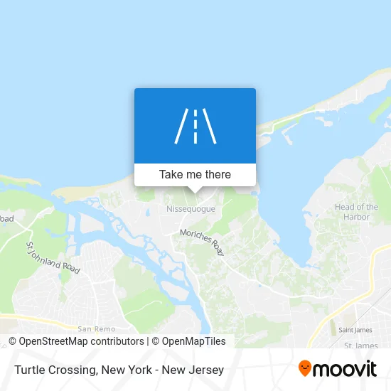 Turtle Crossing map