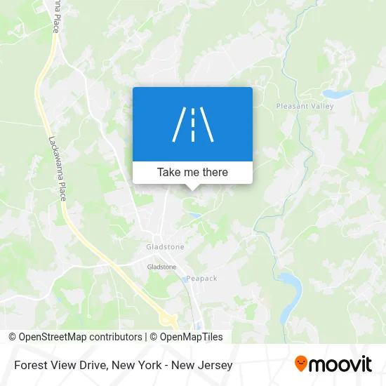 Forest View Drive map