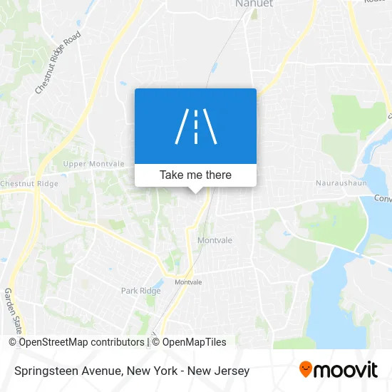 Springsteen Avenue map