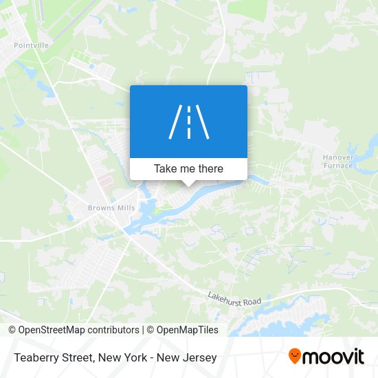 Teaberry Street map