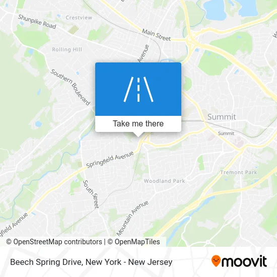 Beech Spring Drive map