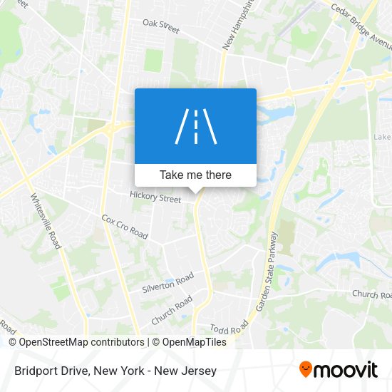 Mapa de Bridport Drive