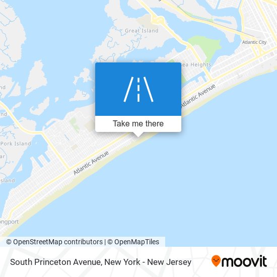 South Princeton Avenue map