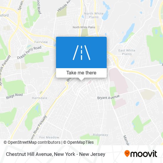 Mapa de Chestnut Hill Avenue