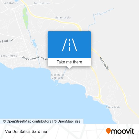 Via Dei Salici map