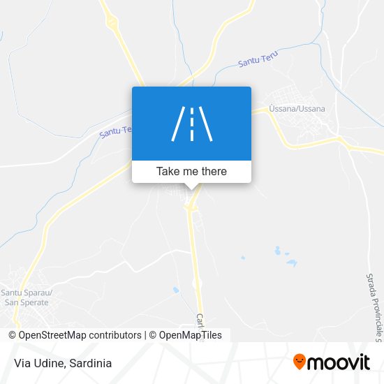 Via Udine map