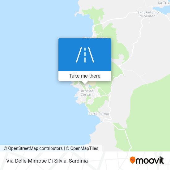 Via Delle Mimose Di Silvia map