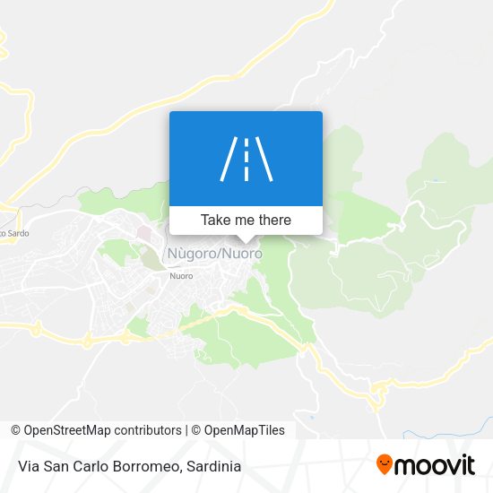 Via San Carlo Borromeo map