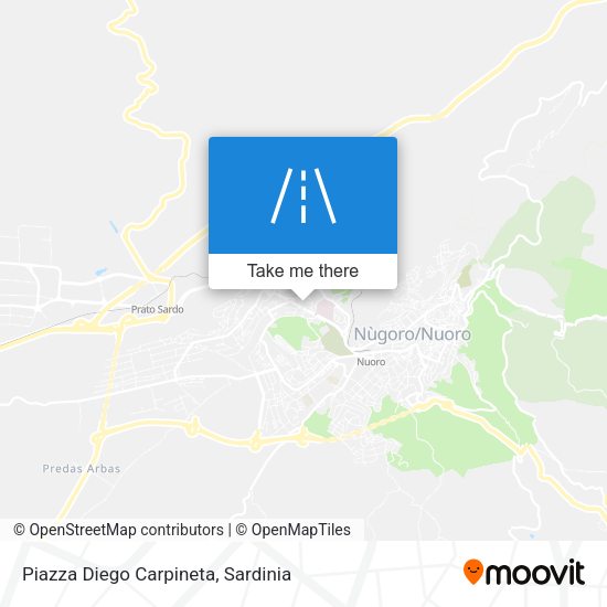 Piazza Diego Carpineta map
