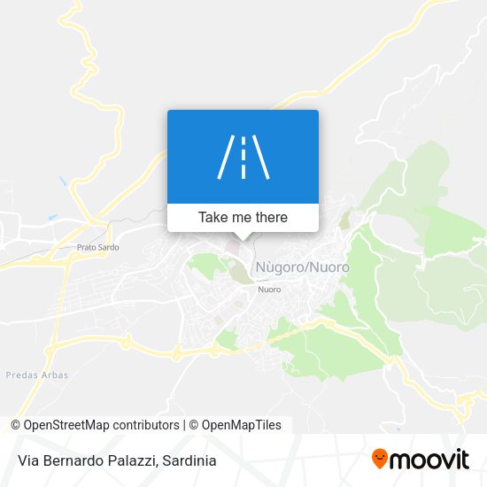 Via Bernardo Palazzi map