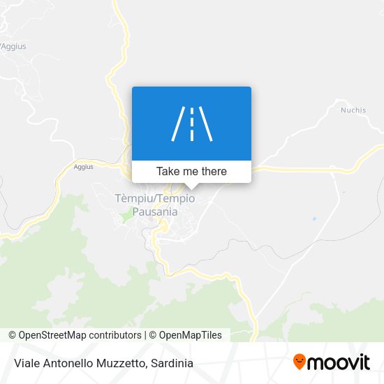 Viale Antonello Muzzetto map