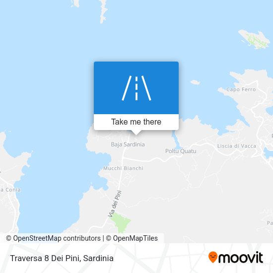 Traversa 8 Dei Pini map