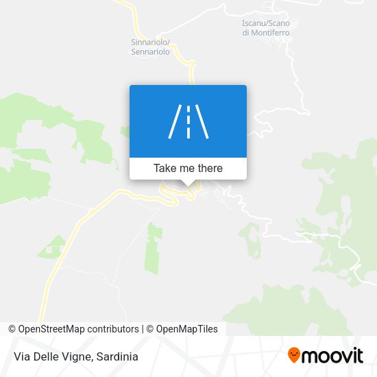Via Delle Vigne map