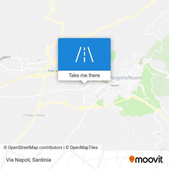 Via Napoli map
