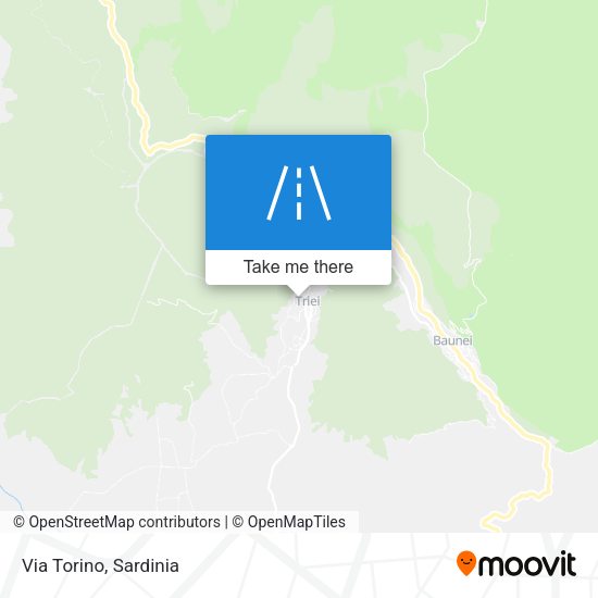 Via Torino map