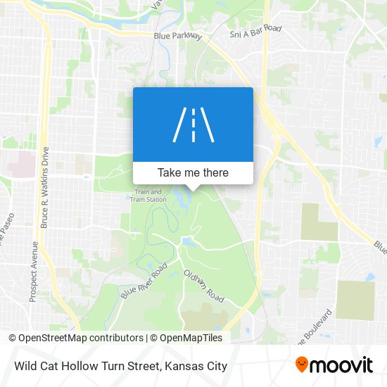 Wild Cat Hollow Turn Street map