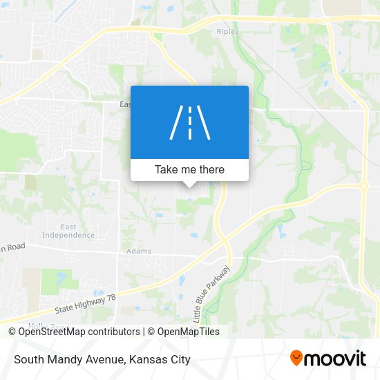 South Mandy Avenue map