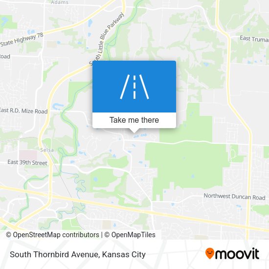 Mapa de South Thornbird Avenue