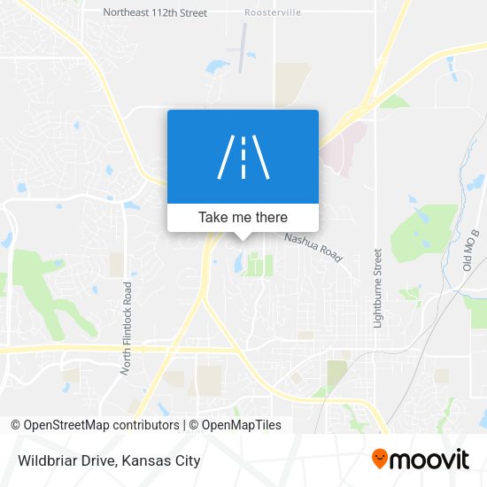 Wildbriar Drive map