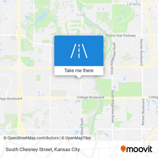 South Chesney Street map