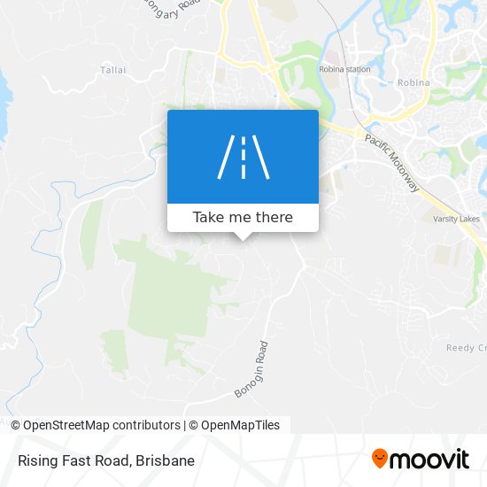 Rising Fast Road map