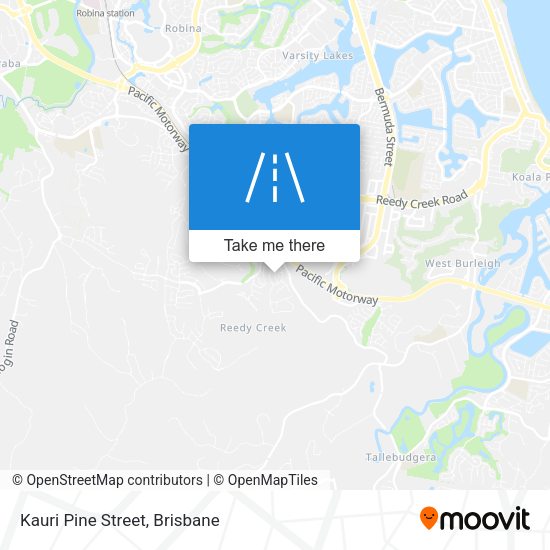 Kauri Pine Street map