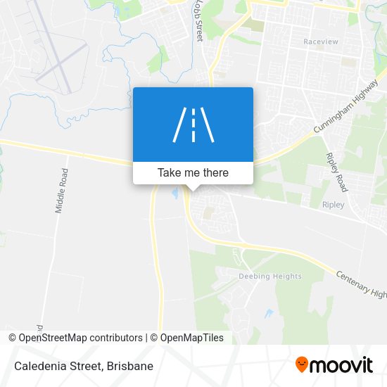 Caledenia Street map