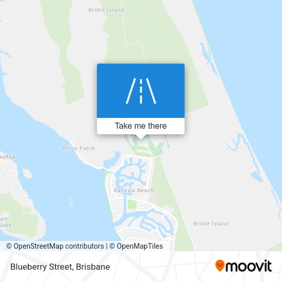 Blueberry Street map