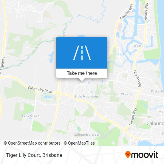 Tiger Lily Court map