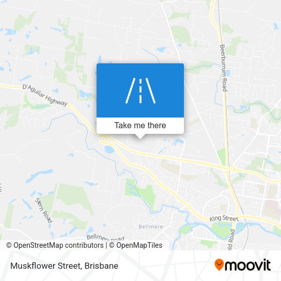 Muskflower Street map