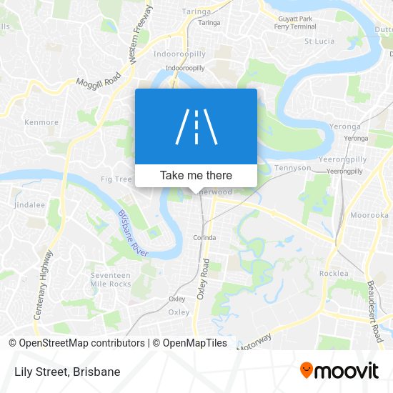 Lily Street map