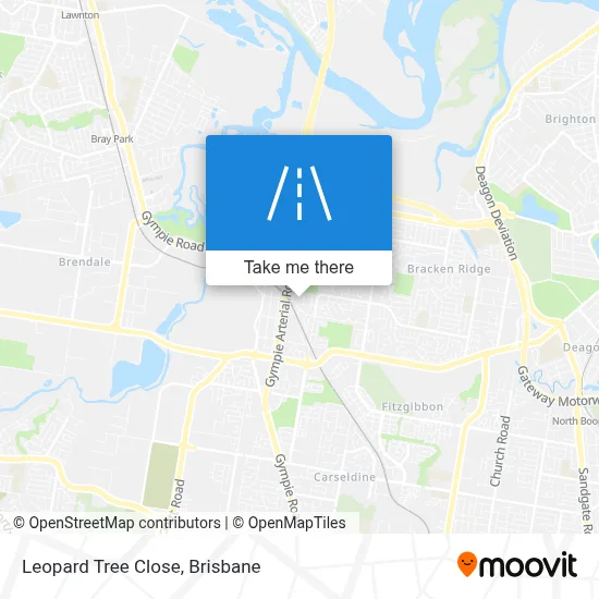 Mapa Leopard Tree Close