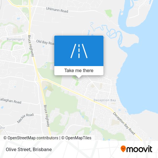 Olive Street map