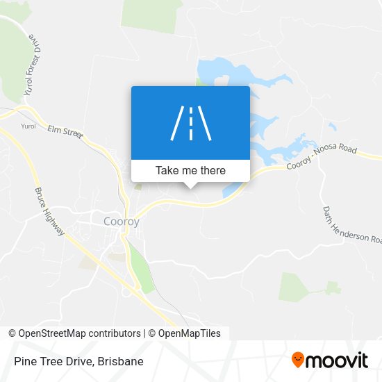 Pine Tree Drive map
