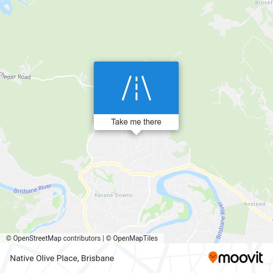 Native Olive Place map