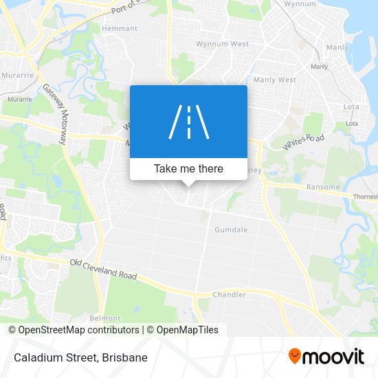 Caladium Street map