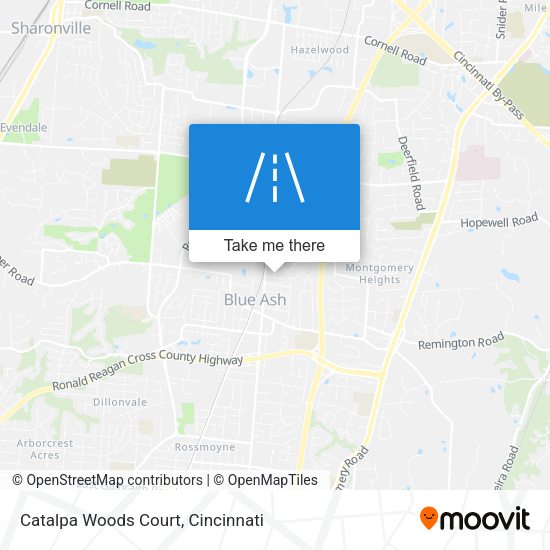 Mapa de Catalpa Woods Court